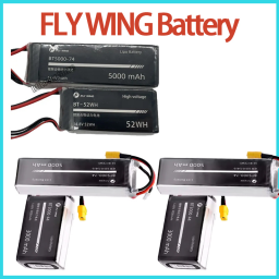 Rc Helicopter Case - بطارية ليثيوم بوليمر FLY WING FW450